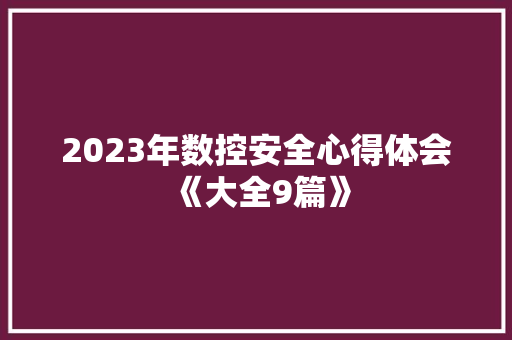 2023年数控安全心得体会《大全9篇》 保证书