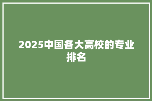 2025中国各大高校的专业排名 英文简历