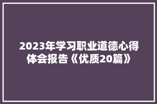 2023年学习职业道德心得体会报告《优质20篇》 社会论文