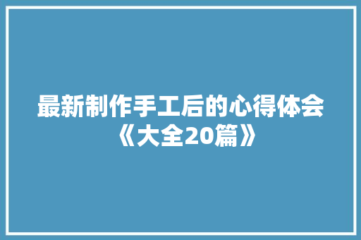 最新制作手工后的心得体会《大全20篇》 个人写作
