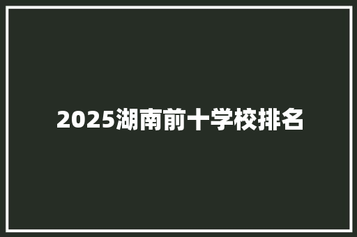 2025湖南前十学校排名 英文简历