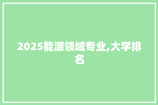 2025能源领域专业,大学排名 英文简历