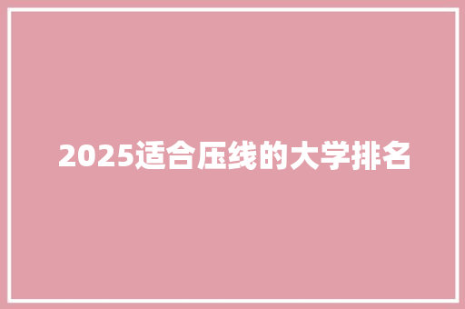 2025适合压线的大学排名 英文简历