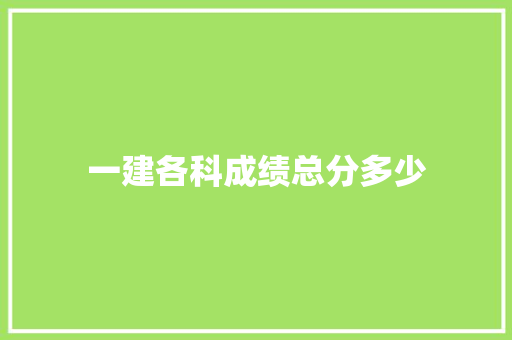 一建各科成绩总分多少 英文简历
