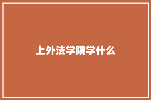 上外法学院学什么 简历资料