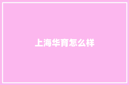 上海华育怎么样 计算机论文