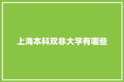 上海本科双非大学有哪些 个人简历