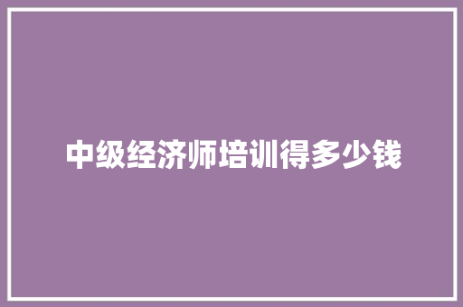 中级经济师培训得多少钱 英文简历