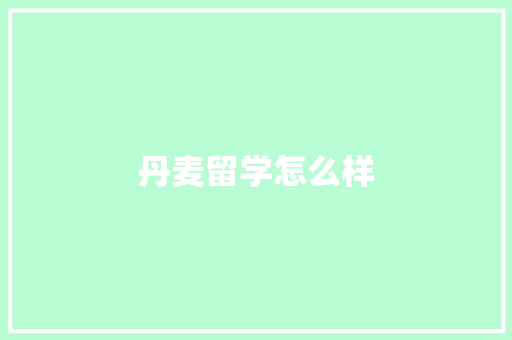 丹麦留学怎么样 计算机论文