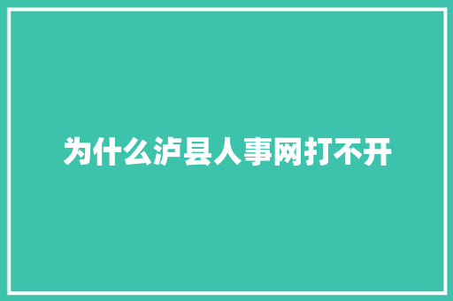 为什么泸县人事网打不开 策划方案