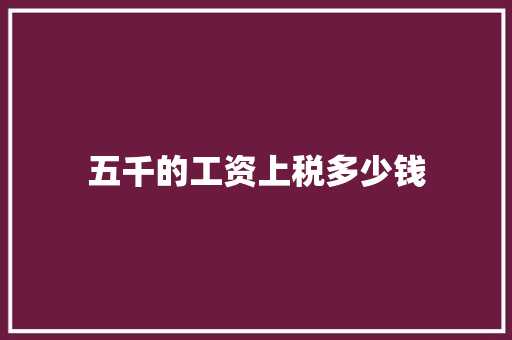 五千的工资上税多少钱 文秘写作
