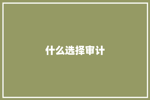 什么选择审计 英文简历