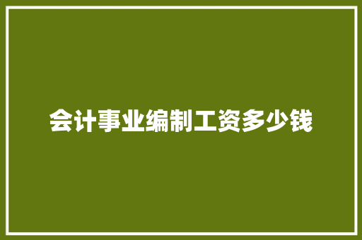 会计事业编制工资多少钱 毕业设计