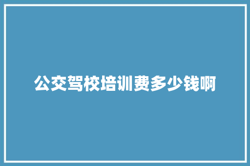 公交驾校培训费多少钱啊 简历资料