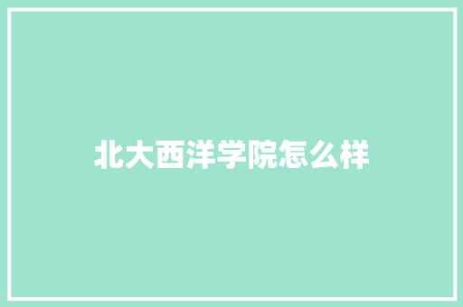 北大西洋学院怎么样 办公写作