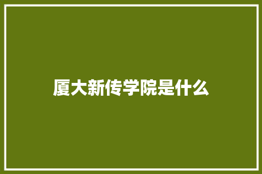 厦大新传学院是什么 条剧书信