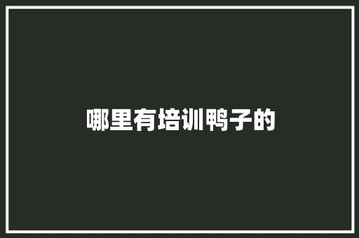 哪里有培训鸭子的 保证书