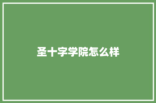 圣十字学院怎么样 教育论文