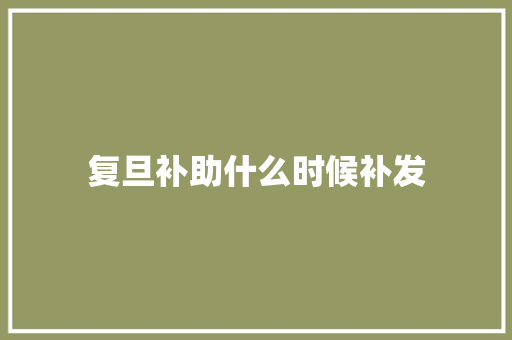 复旦补助什么时候补发 个人写作
