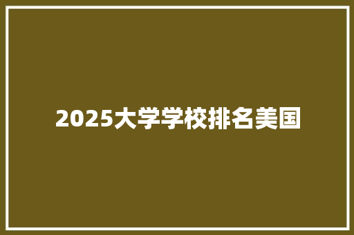 2025大学学校排名美国 计算机论文