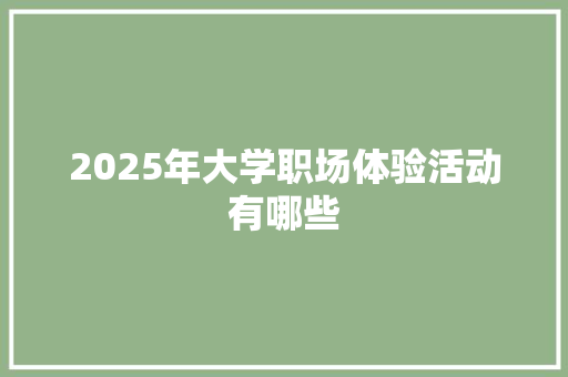 2025年大学职场体验活动有哪些 办公写作