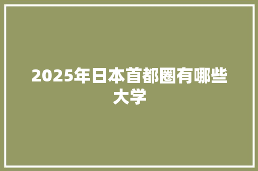 2025年日本首都圈有哪些大学 个人写作