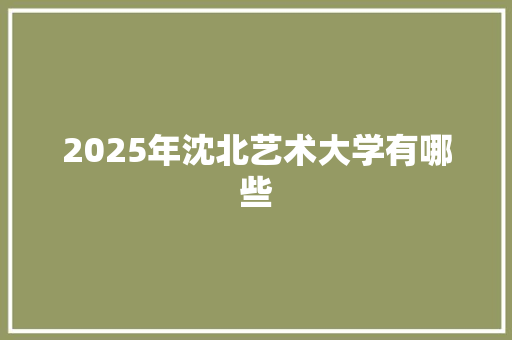 2025年沈北艺术大学有哪些 办公写作