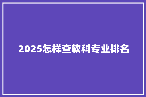 2025怎样查软科专业排名 承诺书