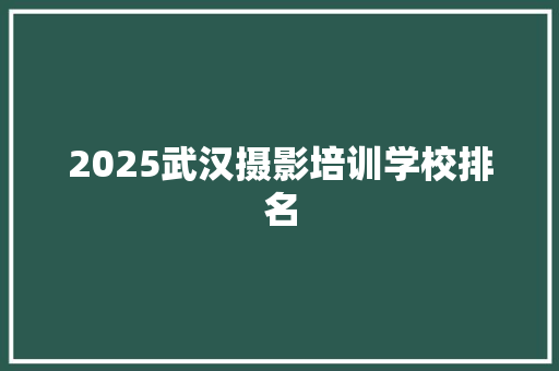 2025武汉摄影培训学校排名 社会论文