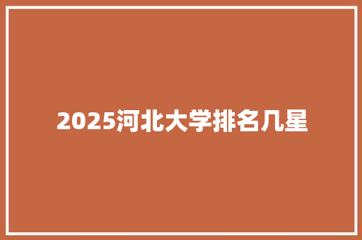 2025河北大学排名几星 办公写作