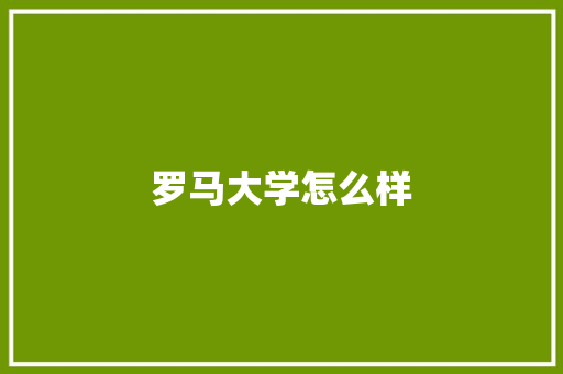 罗马大学怎么样 社会论文