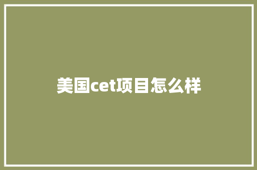 美国cet项目怎么样 办公写作