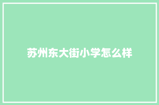 苏州东大街小学怎么样 个人写作