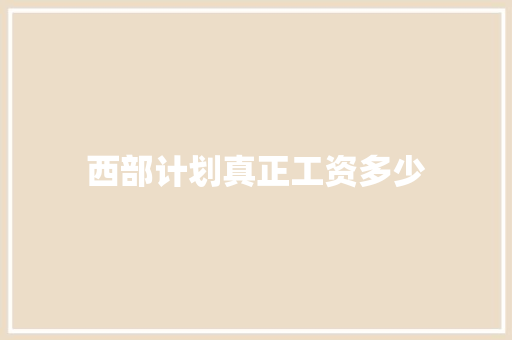 西部计划真正工资多少 英文简历