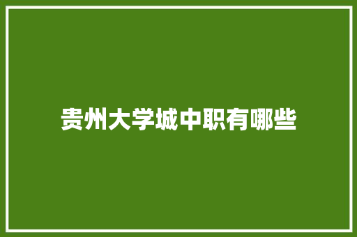 贵州大学城中职有哪些 简历资料