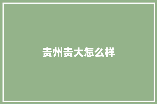 贵州贵大怎么样 英文简历