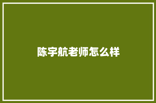 陈宇航老师怎么样 毕业设计