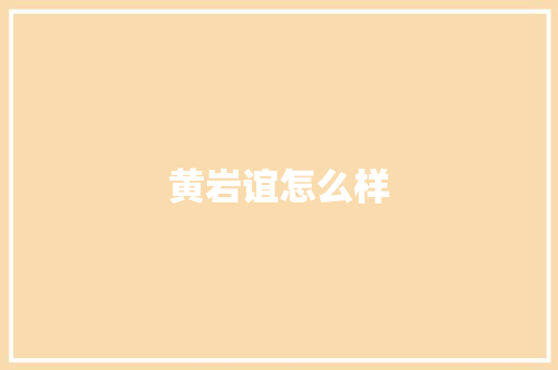 黄岩谊怎么样 计算机论文