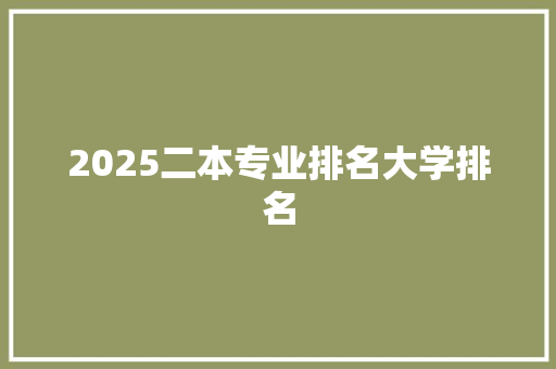 2025二本专业排名大学排名 毕业设计