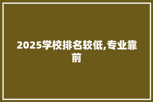 2025学校排名较低,专业靠前 表扬书