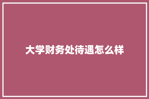 大学财务处待遇怎么样 面试技巧