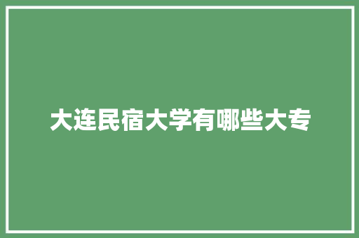 大连民宿大学有哪些大专 简历