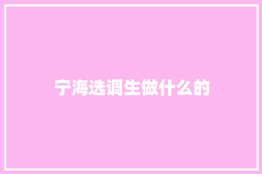 宁海选调生做什么的 文秘写作