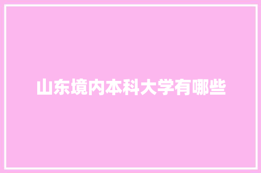 山东境内本科大学有哪些 办公写作