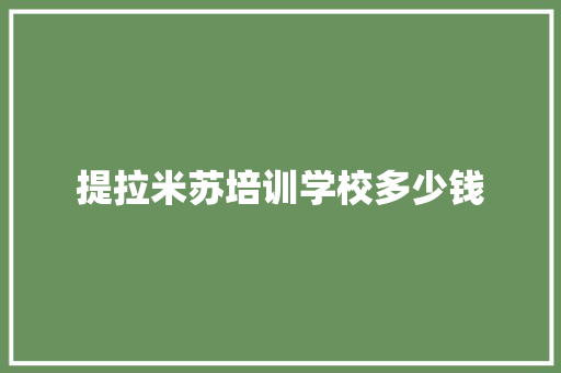 提拉米苏培训学校多少钱 计算机论文