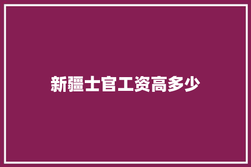 新疆士官工资高多少 计算机论文