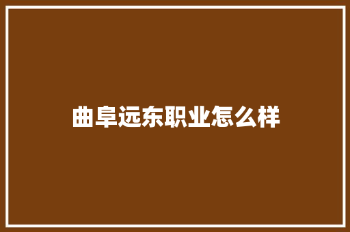 曲阜远东职业怎么样 社会论文