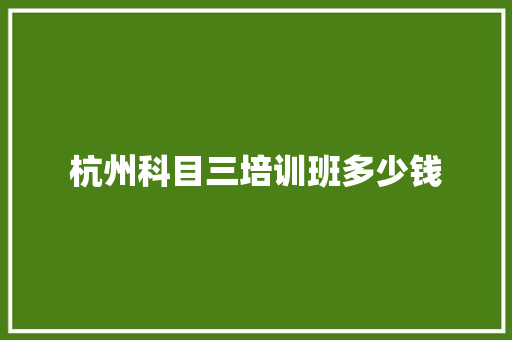 杭州科目三培训班多少钱 计算机论文