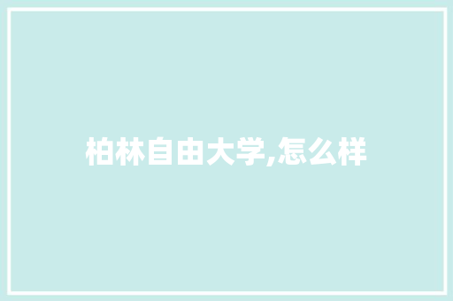 柏林自由大学,怎么样 个人简历