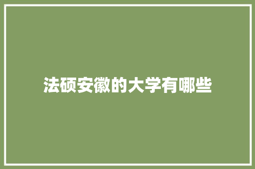 法硕安徽的大学有哪些 英文简历